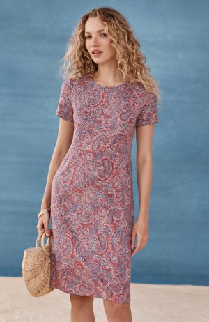 Knit Seamed Dress